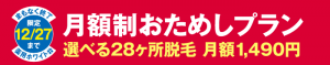 おためしプラン