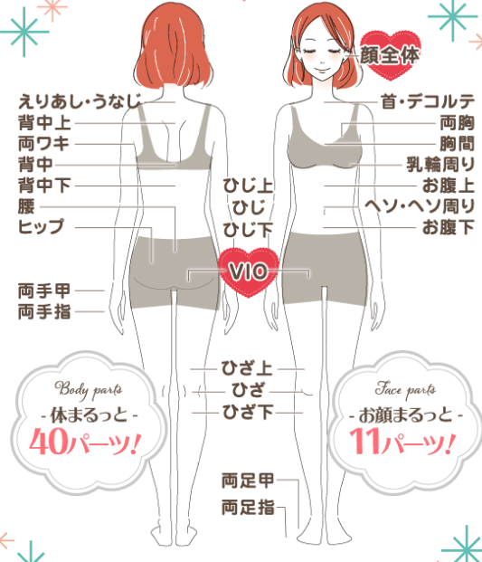 施術可能箇所