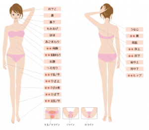 脱毛可能部位