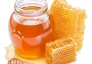 honey-knowledge