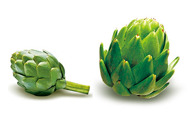 artichoke