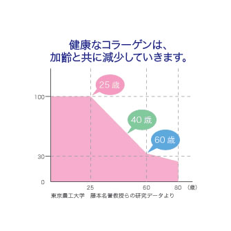 ニッピコラーゲン３